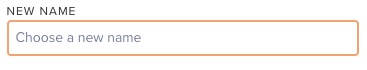edit tag new name field.png